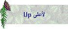 Up لأعلى